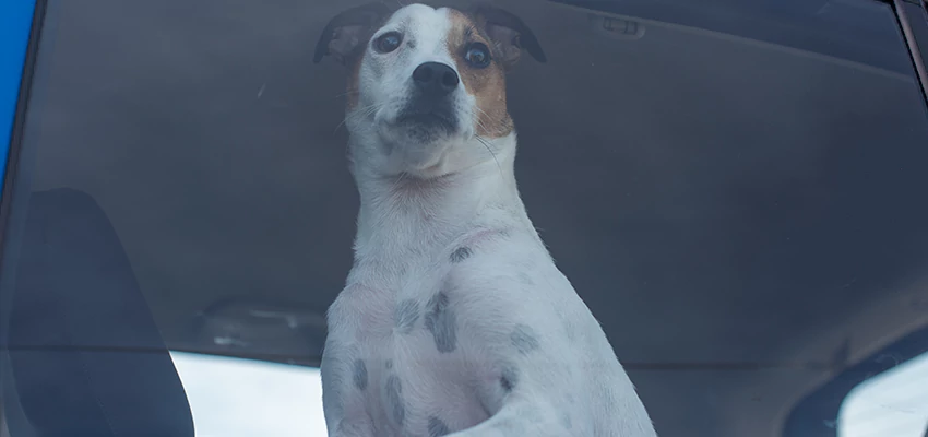 Car Lockout Solutions in Laguna Niguel, California